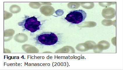  
Figura 4. Fichero de Hematología. 
Fuente: Manascero (2003).