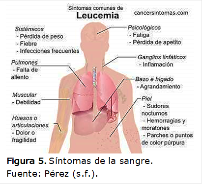  
Figura 5. Síntomas de la sangre.
Fuente: Pérez (s.f.).