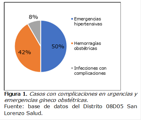  
Figura 1. Casos con complicaciones en urgencias y emergencias gineco obstétricas. 
Fuente: base de datos del Distrito 08D05 San Lorenzo Salud.