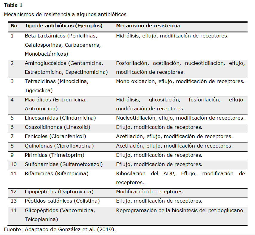 Tabla 1
Mecanismos de resistencia a algunos antibióticos
No.	Tipo de antibióticos (Ejemplos)	Mecanismo de resistencia
1	Beta Lactámicos (Penicilinas, Cefalosporinas, Carbapenems, Monobactámicos)	Hidrólisis, eflujo, modificación de receptores.
2	Aminoglucósidos (Gentamicina, Estreptomicina, Espectinomicina)	Fosforilación, acetilación, nucleotidilación, eflujo, modificación de receptores.
3	Tetraciclinas (Minociclina, Tigeciclina)	Mono oxidación, eflujo, modificación de receptores.
4	Macrólidos (Eritromicina, Azitromicina)	Hidrólisis, glicosilación, fosforilación, eflujo, modificación de receptores.
5	Lincosamidas (Clindamicina)	Nucleotidilación, eflujo, modificación de receptores.
6	Oxazolidinonas (Linezolid)	Eflujo, modificación de receptores.
7	Fenicoles (Cloranfenicol)	Acetilación, eflujo, modificación de receptores.
8	Quinolonas (Ciprofloxacina)	Acetilación, eflujo, modificación de receptores.
9	Pirimidas (Trimetoprim)	Eflujo, modificación de receptores.
10	Sulfonamidas (Sulfametoxazol)	Eflujo, modificación de receptores.
11	Rifamicinas (Rifampicina)	Ribosilación del ADP, Eflujo, modificación de receptores.
12	Lipopéptidos (Daptomicina)	Modificación de receptores.
13	Péptidos catiónicos (Colistina)	Eflujo, modificación de receptores.
14	Glicopéptidos (Vancomicina, Teicoplanina)	Reprogramación de la biosíntesis del pétidoglucano.
Fuente: Adaptado de González et al. (2019).